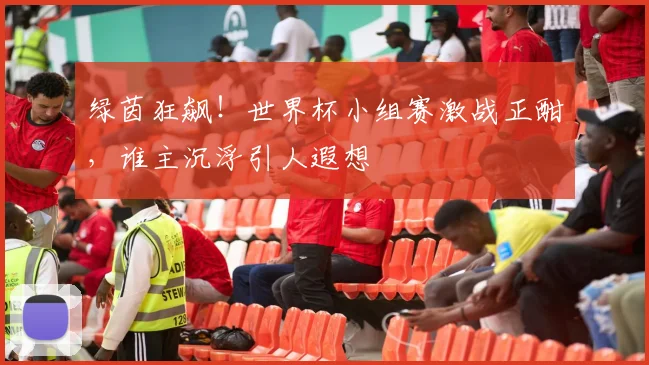 绿茵狂飙!世界杯小组赛激战正酣,谁主沉浮引人遐想